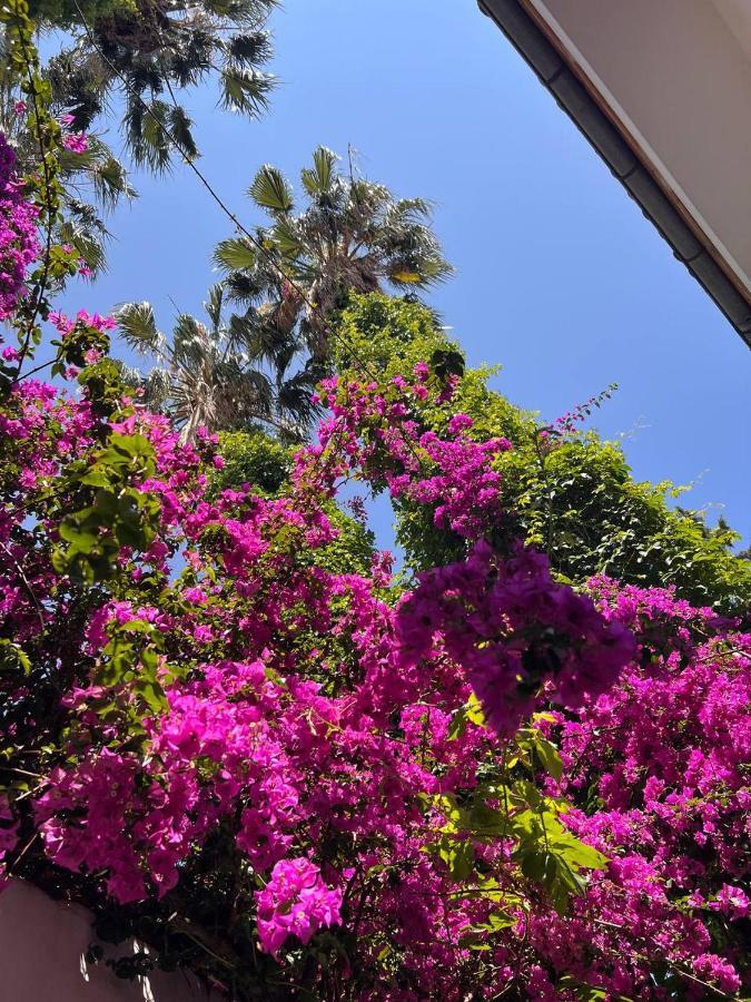 Palma Rosa Hotel Çamyuva Zewnętrze zdjęcie