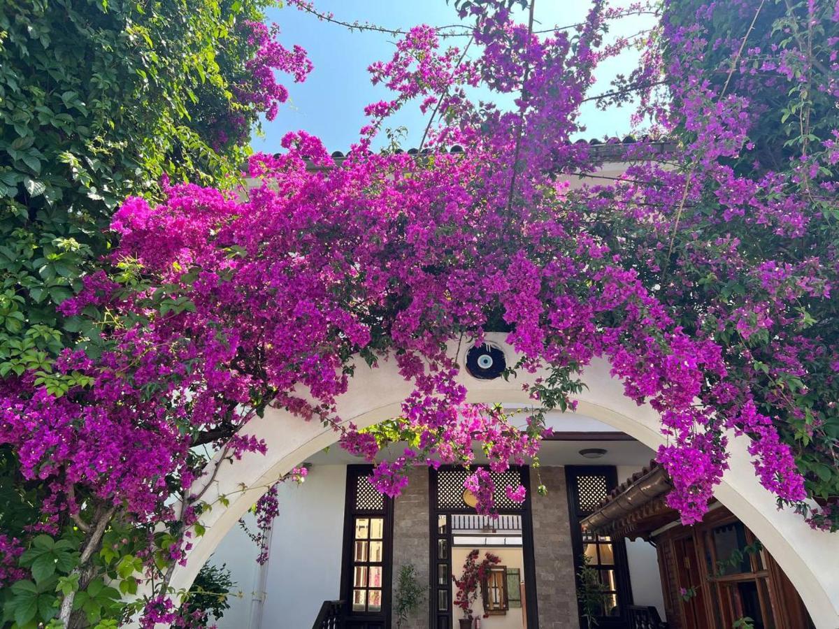 Palma Rosa Hotel Çamyuva Zewnętrze zdjęcie